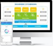 品質卓越的Web安全服務體系 ieGuard防復制軟件在財務軟件與云應用服務中的關鍵作用