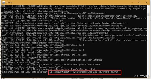 采用精準測試工具對Dubbo微服務應用進行測試的策略與實踐